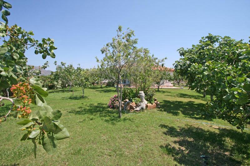 خانيا Villa Eleana المظهر الخارجي الصورة