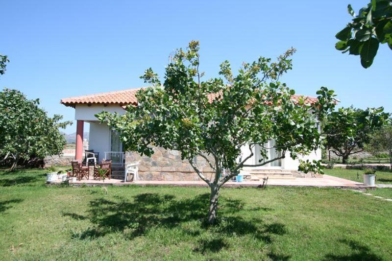 خانيا Villa Eleana المظهر الخارجي الصورة