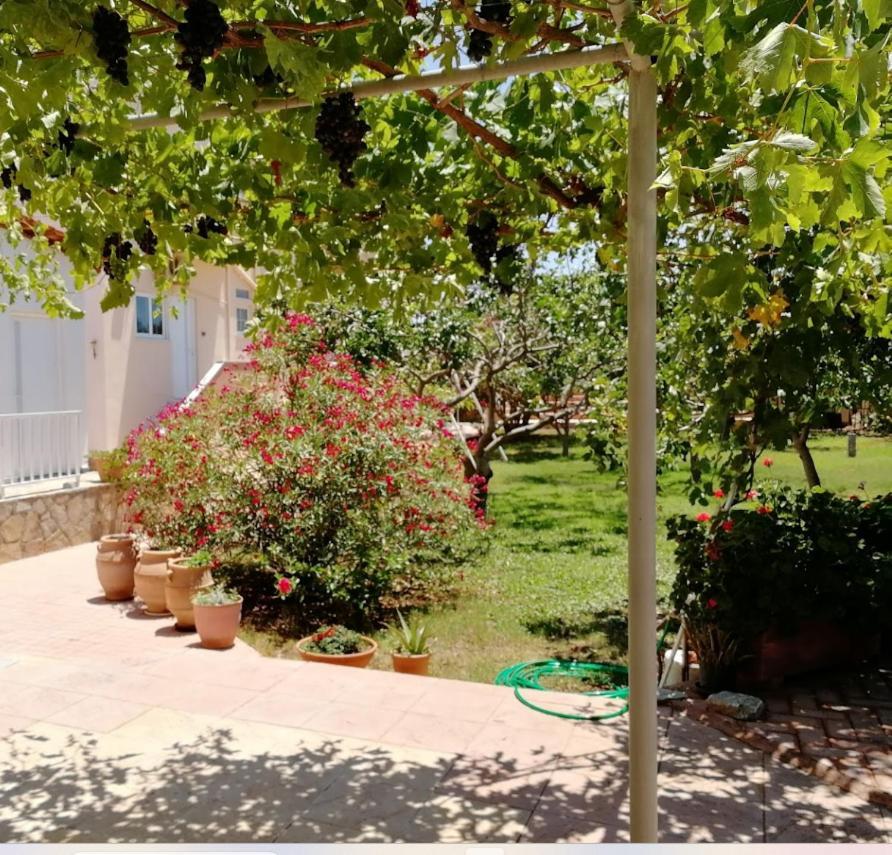 خانيا Villa Eleana المظهر الخارجي الصورة
